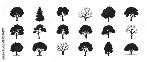 Compilation of eighteen various black tree silhouettes including conifers and deciduous types for backdrop
