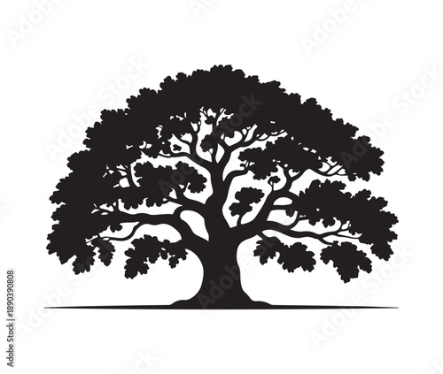 Silhouette of mature oak tree with wide spreading canopy and thick trunk isolated on white background vector