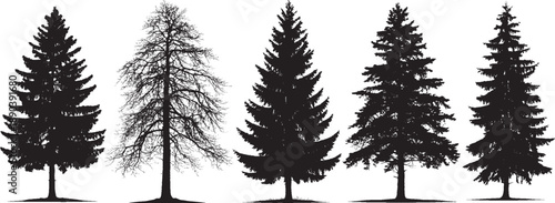 Set of pine tree silhouettes on white background