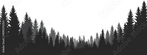 Silhouette of pine trees forest landscape scene