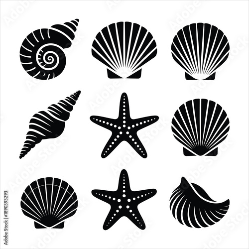 Collection of diverse black silhouette seashell and starfish icons displayed against a clean white backdrop