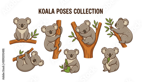 Koala cartoon characters set showing various daily poses