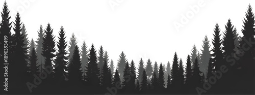 Silhouette of pine trees on white background