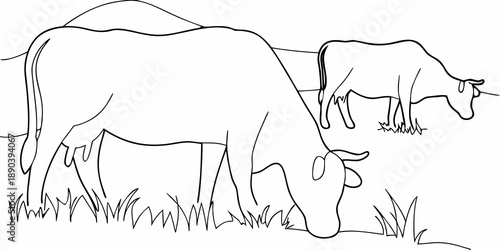 Simple line drawing depicting two cows grazing in a grassy field
