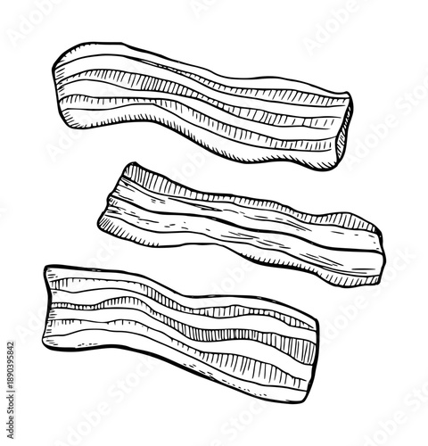 Hand drawn of strips of bacon a white background food meat