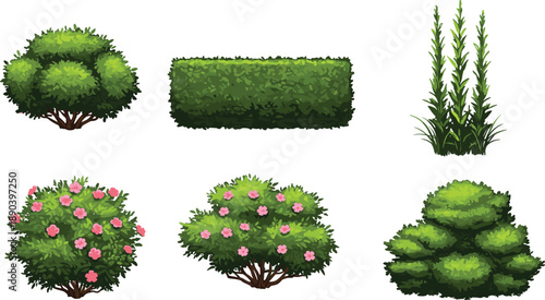 Flowering shrubs, pink blossoms, tiered topiary, trimmed hedge, ornamental greenery, garden plants, outdoor foliage, landscape vegetation, cad drawing flat vector illustration