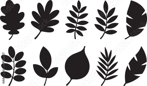 Assortment of Black Silhouette Leaves and Branches on White Background Keywords: leaf, leaves, silhouette, icon, symbol, nature, plant, foliage, branch, tree, autumn, fall, botanical, organic