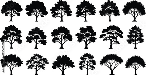 Collection of diverse tree silhouettes in black showcasing various deciduous shapes for nature design, landscaping graphics, and botanical illustration use