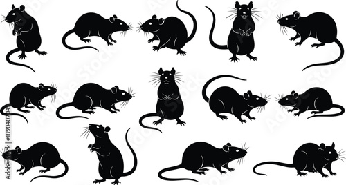 Rat silhouette collection showing standing and moving poses, rodent animal illustrations isolated on white background for design and wildlife concepts