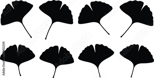Set of ginkgo leaf silhouettes in black displaying fan shaped botanical forms for nature illustration, minimal design, and vector graphics