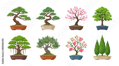 Bonsai trees a collection of miniature plants