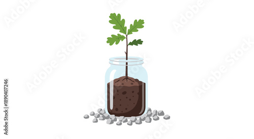 Young oak tree sapling growing in a glass jar with soil. Environmental conservation and sustainable growth.