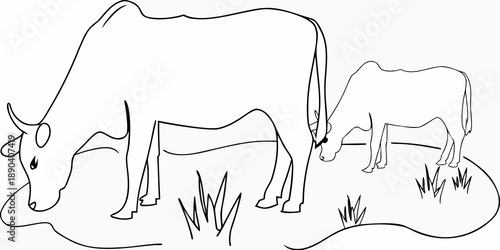 Simple line drawing depicts a cow with a calf grazing in a field