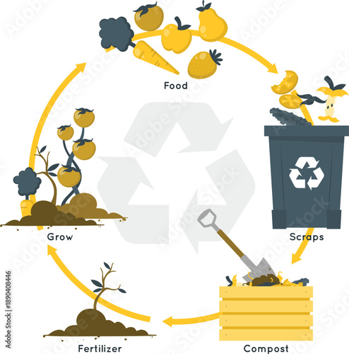 Circular farming process with composting and plant growth,A vector illustration depicting the cycle of growing food, composting, and recycling scraps to fertilize plants in a sustainable manner.