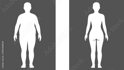 Male and female human body silhouettes comparison front view anatomy proportions flat vector illustration design minimal modern infographic