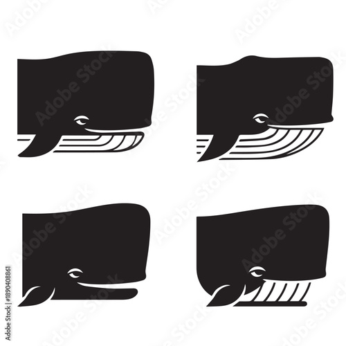 Whale Face Silhouette Vector
Whale Face Silhouette Black and White
Whale Face Vector Illustration