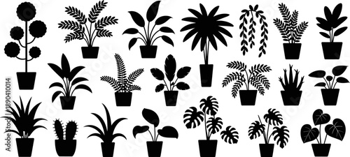 Set of Twenty One Potted Houseplant and Indoor Greenery Silhouettes Featuring Monstera Ferns and Cacti Isolated on White for Interior Design and Home Decor Branding