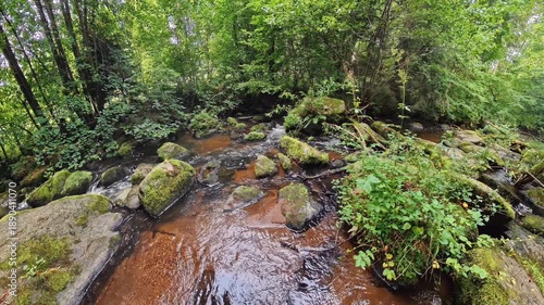 Mountain stream flowing through forest with sunlight and peaceful nature landscape at Bavarian Forest, Germany