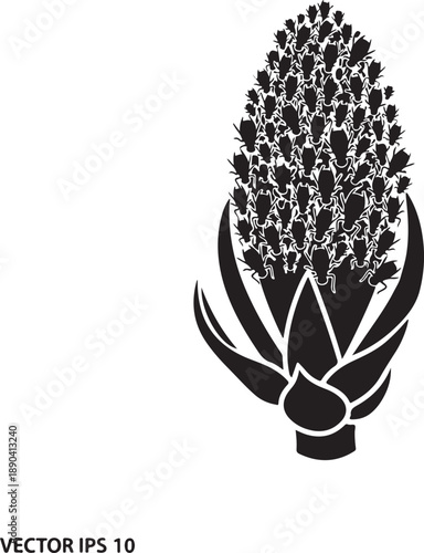 Black of a pineapple with many small insects fruit swarm d