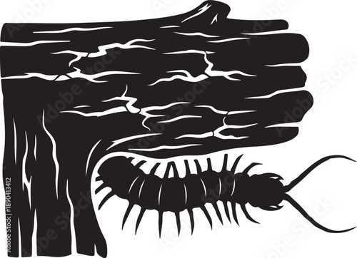 Black silhouette of a centipede crawling under a cracked log insect arthropod wood de