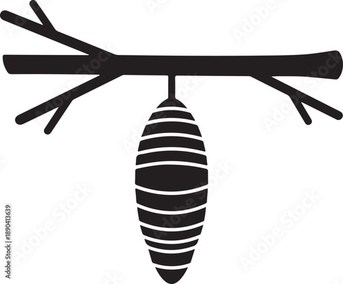 Black silhouette of a chrysalis hanging from a branch pupa insect metamorphosis transformation