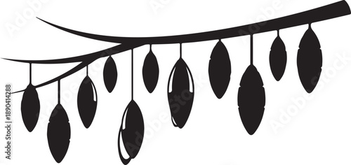Black silhouette of cocoons hanging from a branch chrysalis insect butterfly moth des