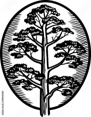 Black and white illustration of a tall pine tree inside an oval frame with textured shading