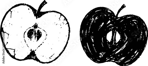 Black and white apple halves, detailed sketch with seeds and texture, botanical illustration
