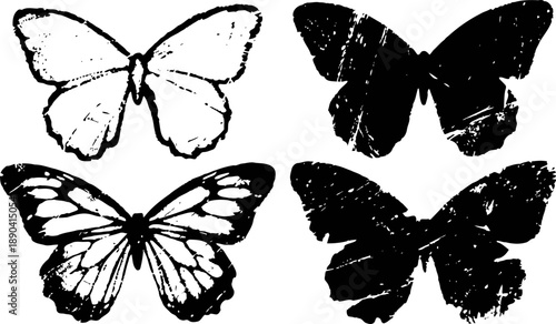 Silhouetted and detailed butterfly set with upper wings spread, ink isolated on white background