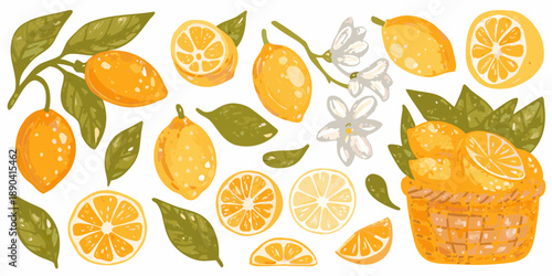 A vibrant collection of lemons slices blossoms and a woven basket