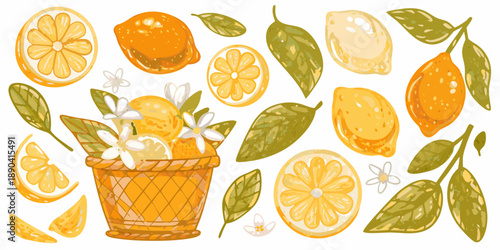 A colorful illustration of citrus fruits leaves and blossoms in a basket