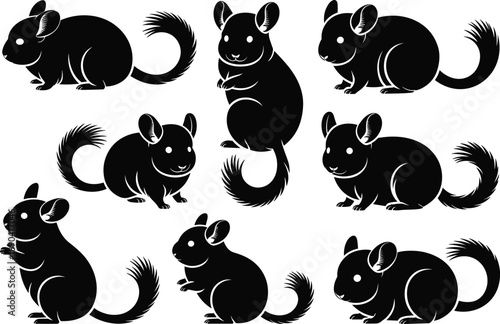 Chinchilla silhouette collection, cute rodent poses illustration, black and white animal vector set, pet wildlife design isolated, minimalist mascot artwork