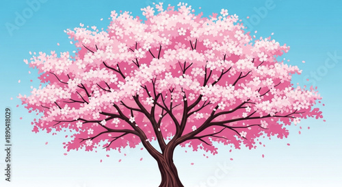 Vibrant pink cherry blossom tree against blue sky background
