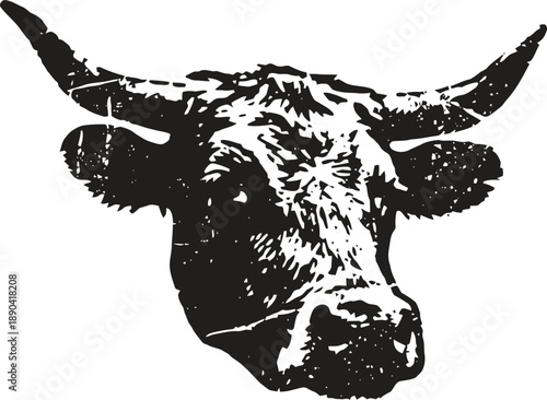 black and white illustration of a bull head with prominent horns and textured details