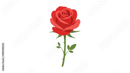 A single red rose with green stem and leaves in full bloom from a top-down viewpoint