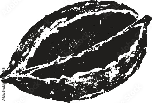 Illustration of black and white cocoa pod with textured details and rough edges