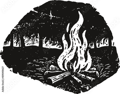 Campfire burning with flames in dark forest at night outdoors wilderness