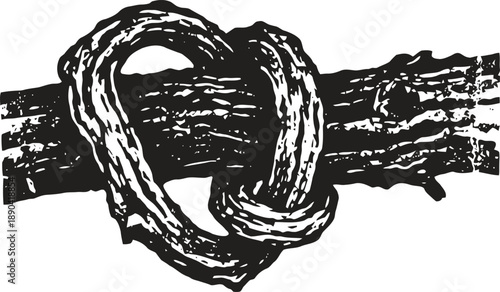 Heart shaped rope knot tied around wooden branch symbolizing love and connection