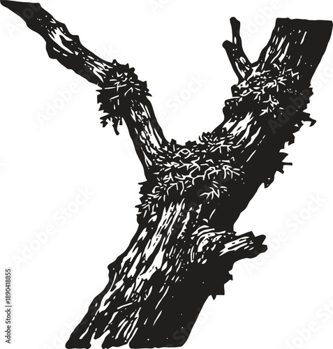 detailed black and white illustration of a tree branch with textured bark and small foliage