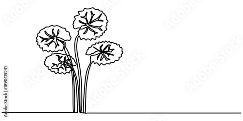 Thankuni pata  continuous one line drawing, one linear sketch isolated on white background. outline Vector illustration. 