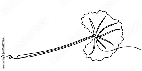 Thankuni pata  continuous one line drawing, one linear sketch isolated on white background. outline Vector illustration. 
