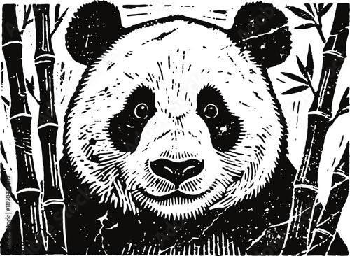 Panda bear close up surrounded by bamboo stalks black and white wildlife illustration with natural habitat elements