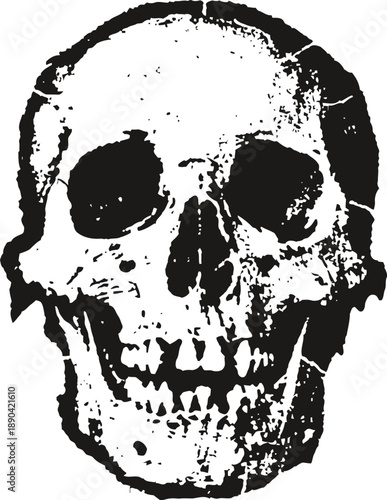Grunge human skull illustration with cracked and worn texture, spooky gothic horror design