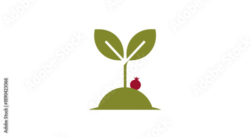 Simple green plant growing from the ground with a red fruit.