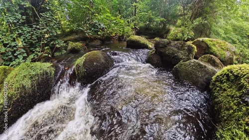 Mountain stream flowing through forest with sunlight and peaceful nature landscape at Bavarian Forest, Germany