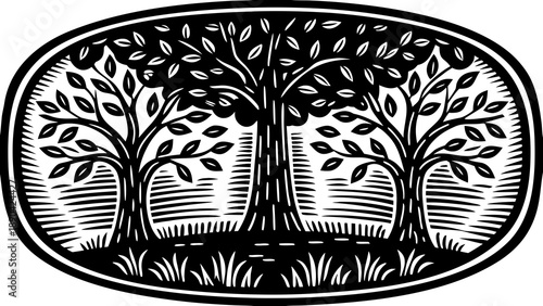 Three mature deciduous trees stand rooted in grassy ground within an oval frame, rendered in a strong woodcut style.