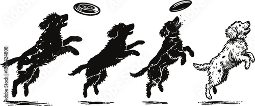 silhouettes of playful dogs jumping and catching flying frisbee in motion sequence