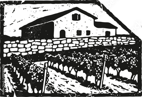 Vintage vineyard illustration with stone wall and farmhouse in rural landscape