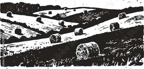 Rolling hay bales scattered across a rural farmland landscape with hills and fields
