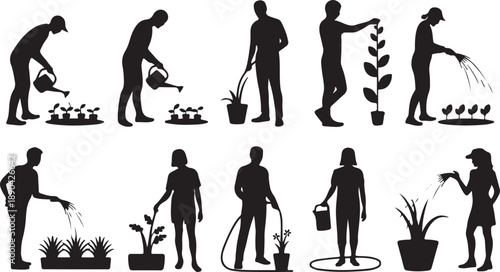 People Gardening and Caring for Plants Silhouettes watering vegetables
